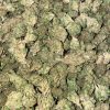 Buy Jack Herer Online