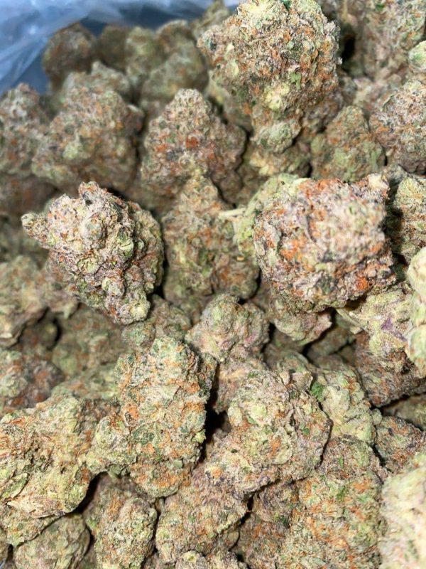 Buy Gelato #33 Online