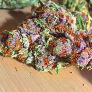 Purple Haze Weed