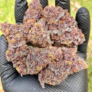 Granddaddy Purple