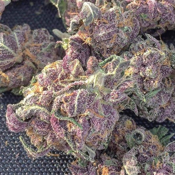 Purple Haze Weed