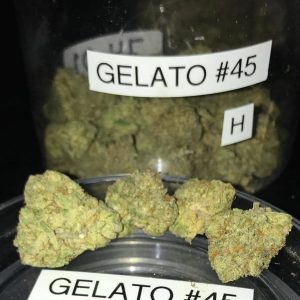 Gelato #33