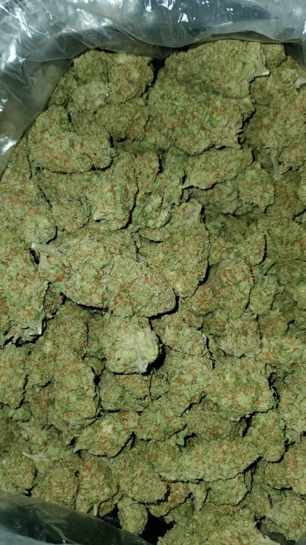 Buy Captain Crunch Strain Online