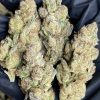 Buy Exotic Kush Online