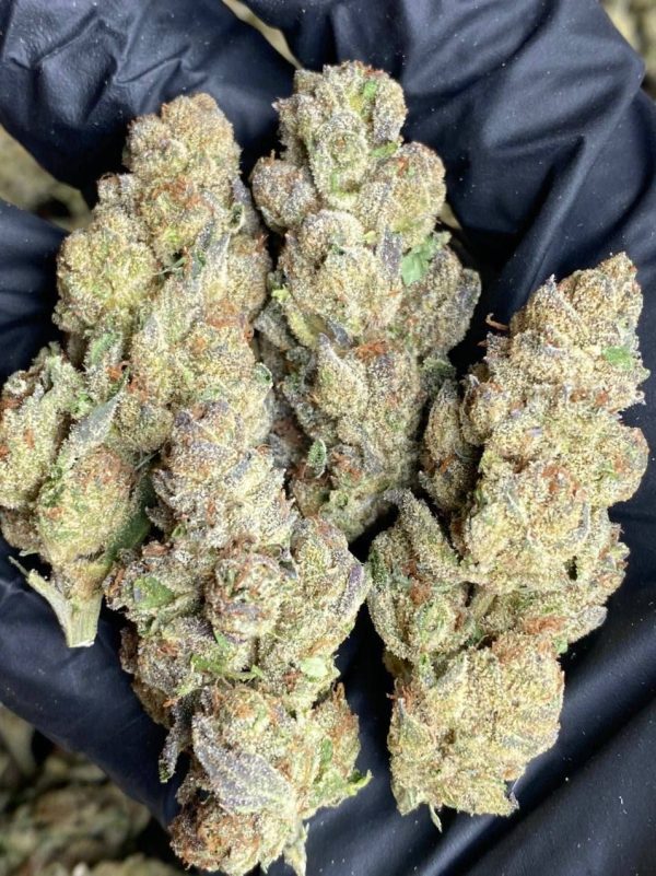 Buy Exotic Kush Online