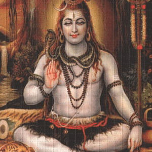 Buy Shiva LSD Online