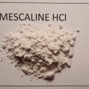 Buy Pure Mescaline Online